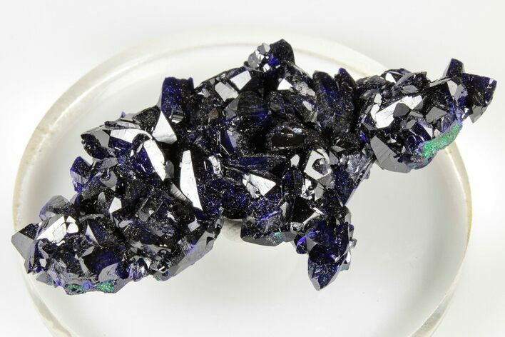 Lustrous Azurite Crystal Cluster - Milpillas Mine, Mexico #193761